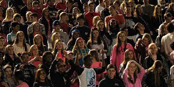Wildcats Fall To The Bulldogs