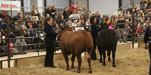 FFA Judges to Compete in Area Competition
