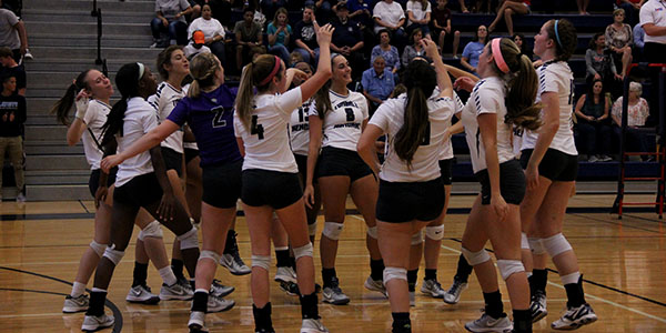 Volleyball Falls Short at Playoff Game