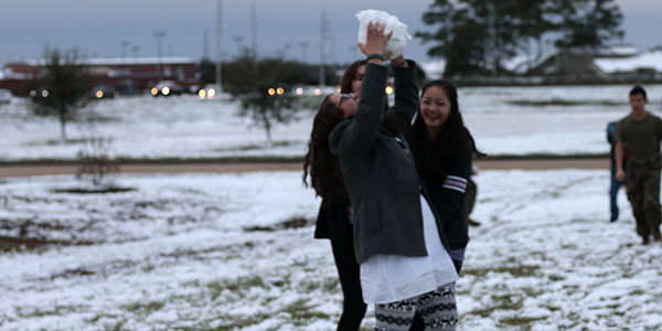 Walking in a Winter Wonderland