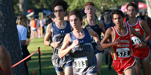 Cross country breaks records at district meet