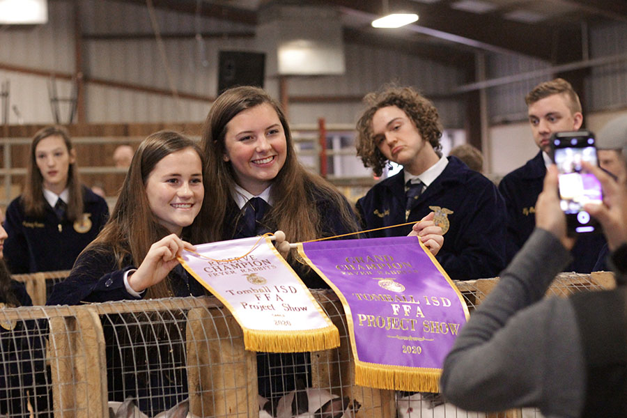 Gallery: FFA Project Show