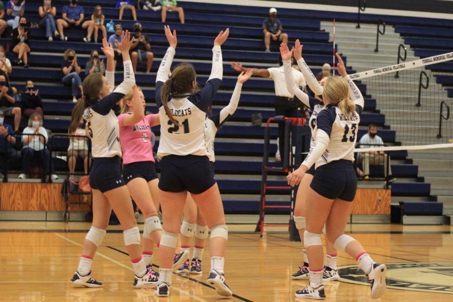 Volleyball players celebrate after scoring a point.