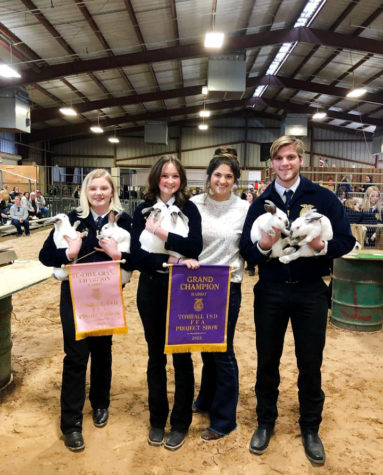 TMHS FFA Students Win 1st,2nd 3rd in Rabbit Show